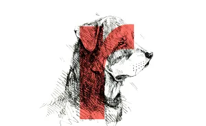 Dog Alphabet Number Two, That I Made From The First Letters Of Their Breeds
