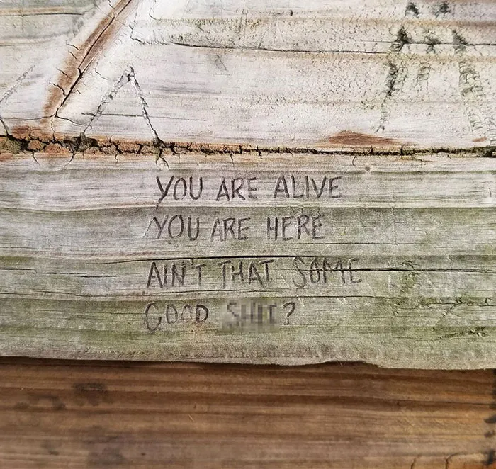 Found This On My Nature Hike