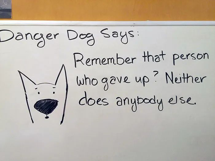 Thanks Again, Danger Dog