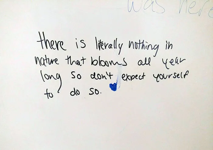 Bathroom Stall Wisdom