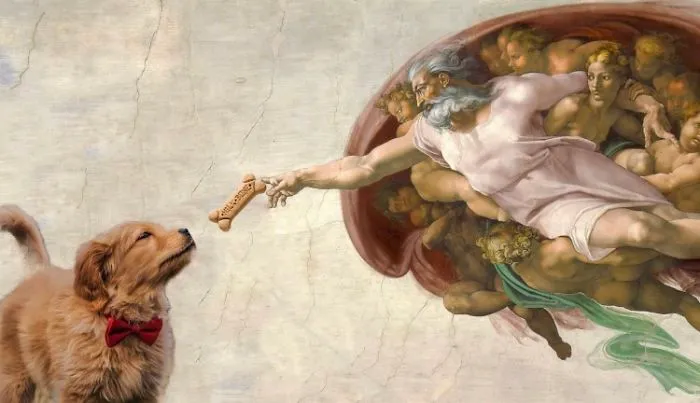 Picture Of A Beautiful Puppy With A Butterfly Inspired A Photoshop Battle And Here Are 11 Of The Best Examples