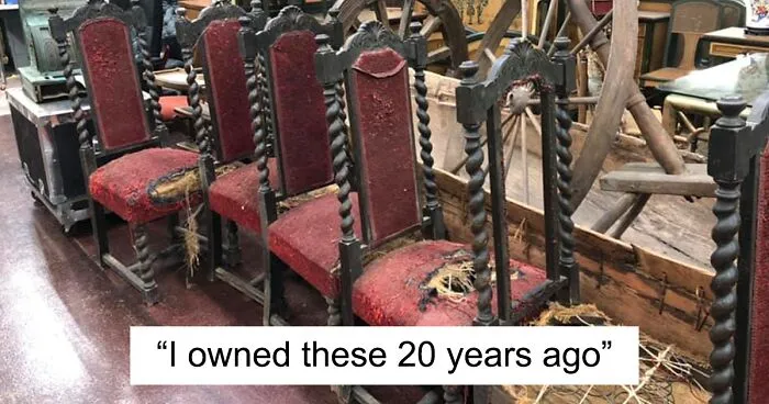 30 Times People Couldn’t Believe Their Luck In Thrift Stores (New Pics)