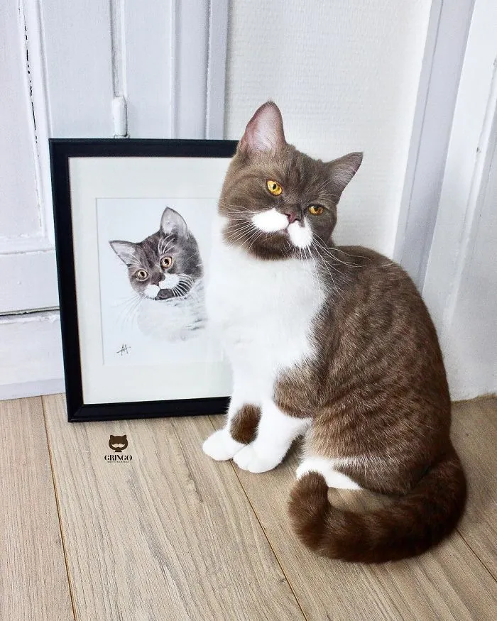 Meet Gringo, The Cat Who Mustached His Way Into Our Hearts