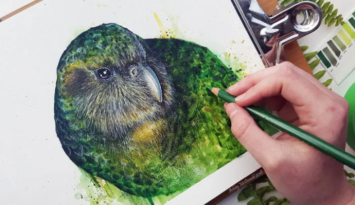 My 30 Animal Portraits That I Painted Using Watercolors And Pencils