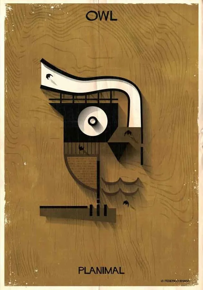 Owl