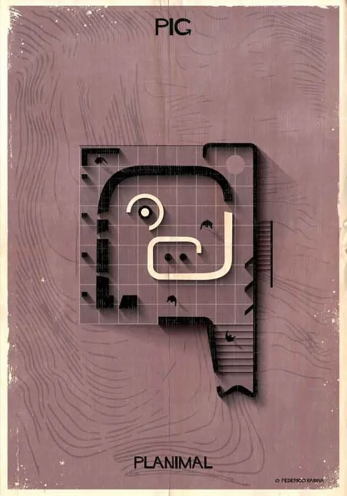 Pig