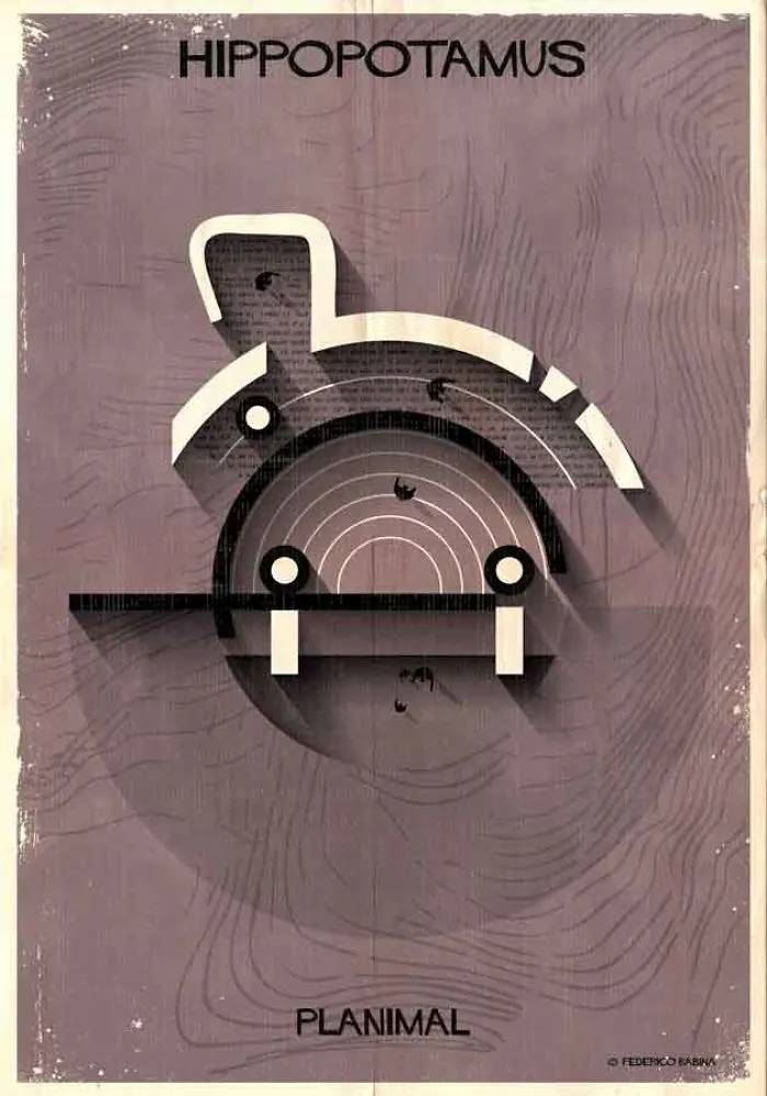 Hippopotamus