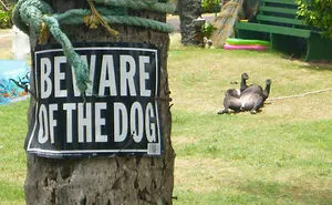 30 'Dangerous' Dogs Behind 'Beware Of Dog' Signs