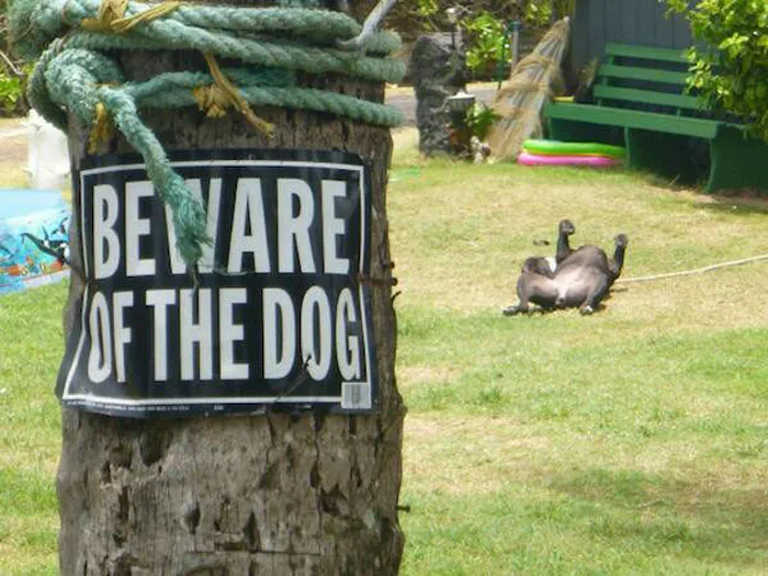 Beware Of Dog