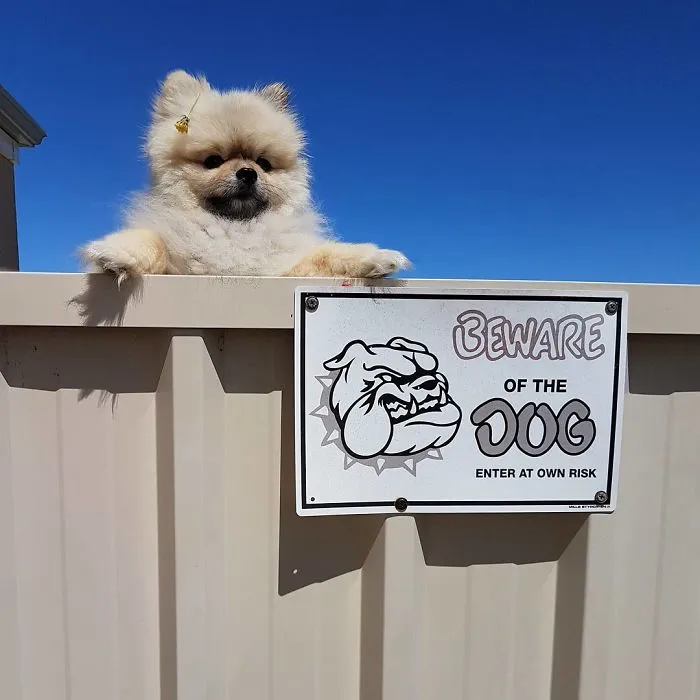 Beware Of The Dog