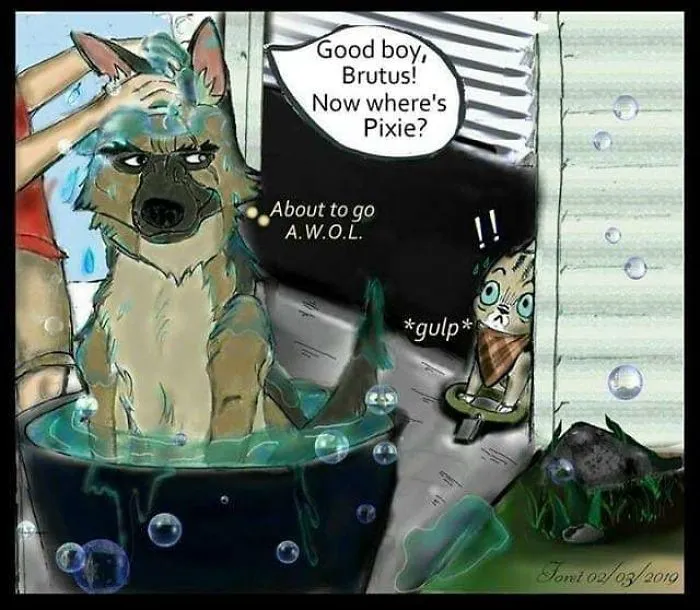 'Pixie And Brutus' Fans Are Drawing Their Own Comics So The Adventures Don't Stop (27 Pics)