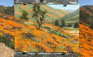 30 Landscape Paintings Framed By Nature And Aaron Schuerr