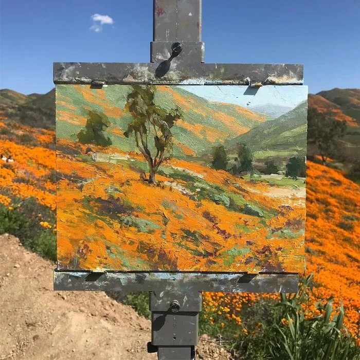 Nature Art Photos
