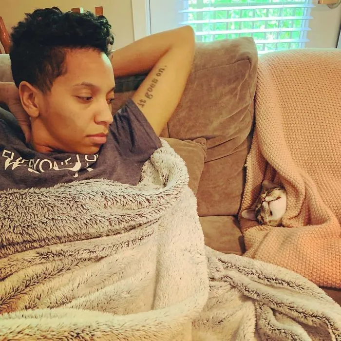 We Can't Wrap Our Heads On How Cute These Purrito Cat Wraps Are
