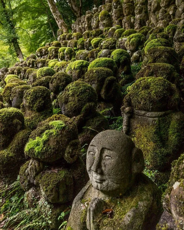 Shrine In Japan