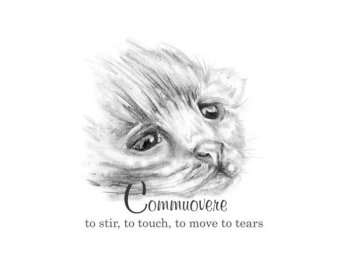 Commuovere