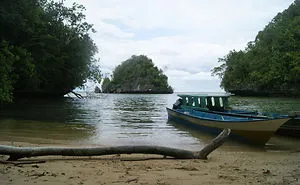 I Went To Fakfak To Enjoy The Beach, Cave, And Saw Bats