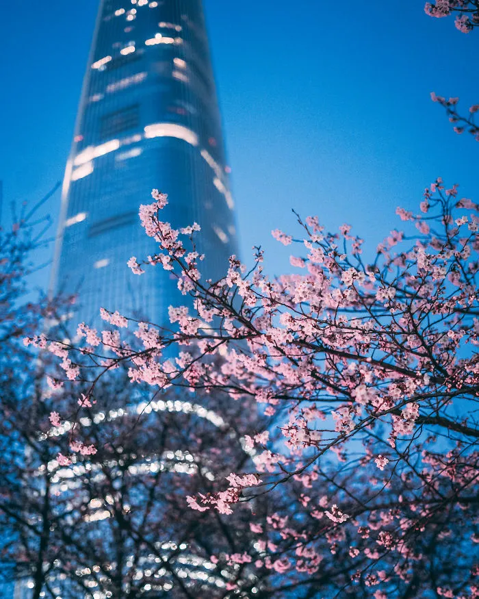 I've Been Living In South Korea For Three Years And Here Are Some Photos That I've Taken So Far