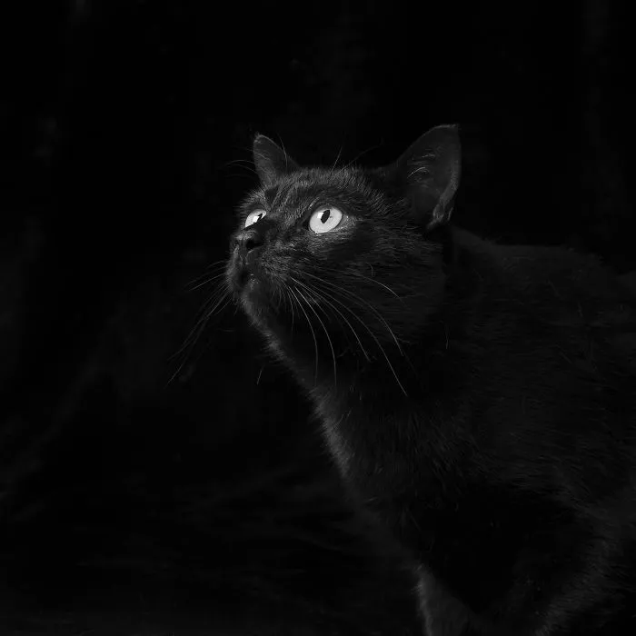 Gabriel