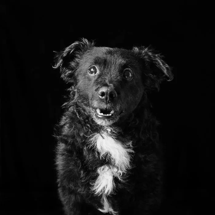 Parker