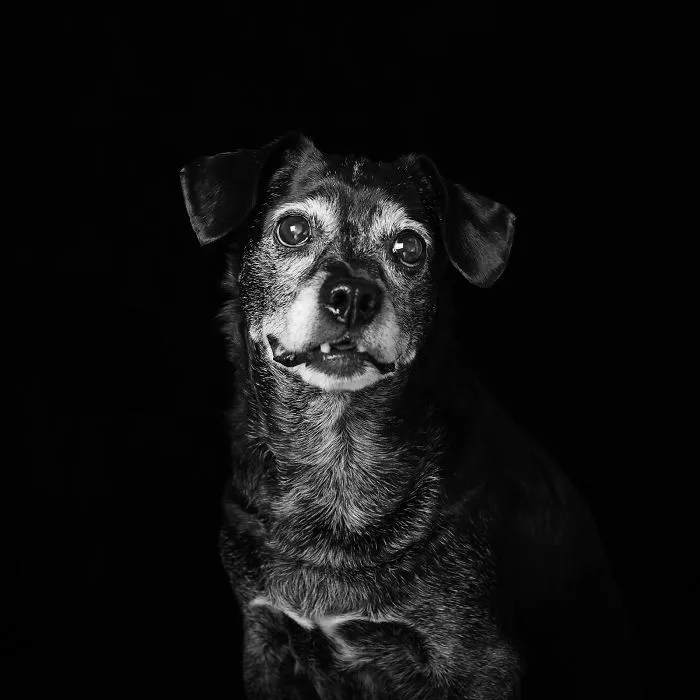 Lena