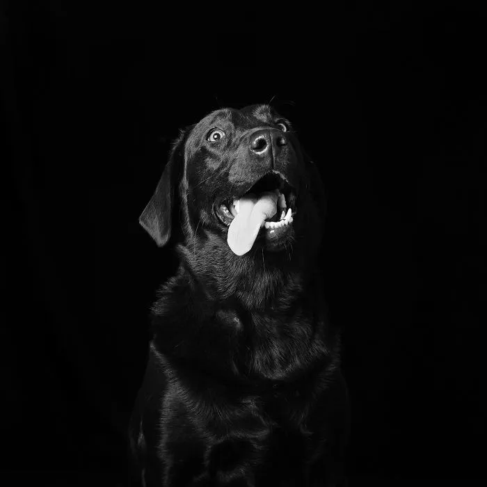 Jessie