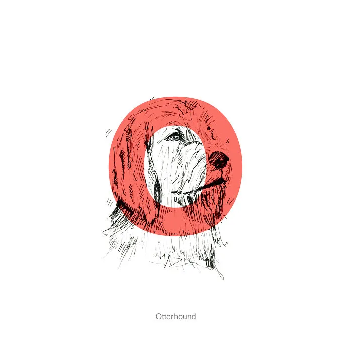 Dog Alphabet Number Two, That I Made From The First Letters Of Their Breeds