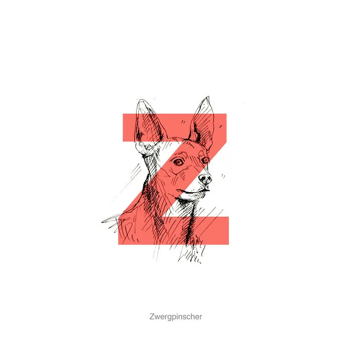 Dog Alphabet Number Two, That I Made From The First Letters Of Their Breeds