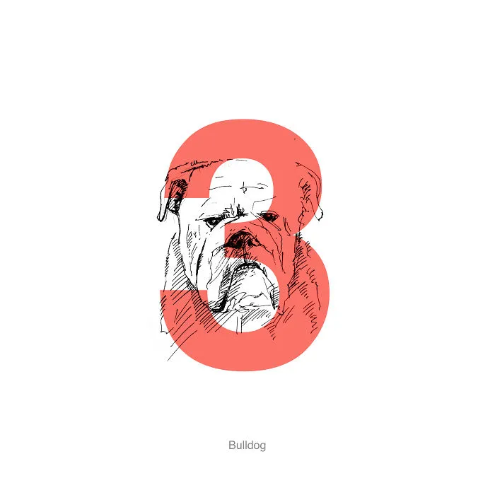 Dog Alphabet Number Two, That I Made From The First Letters Of Their Breeds