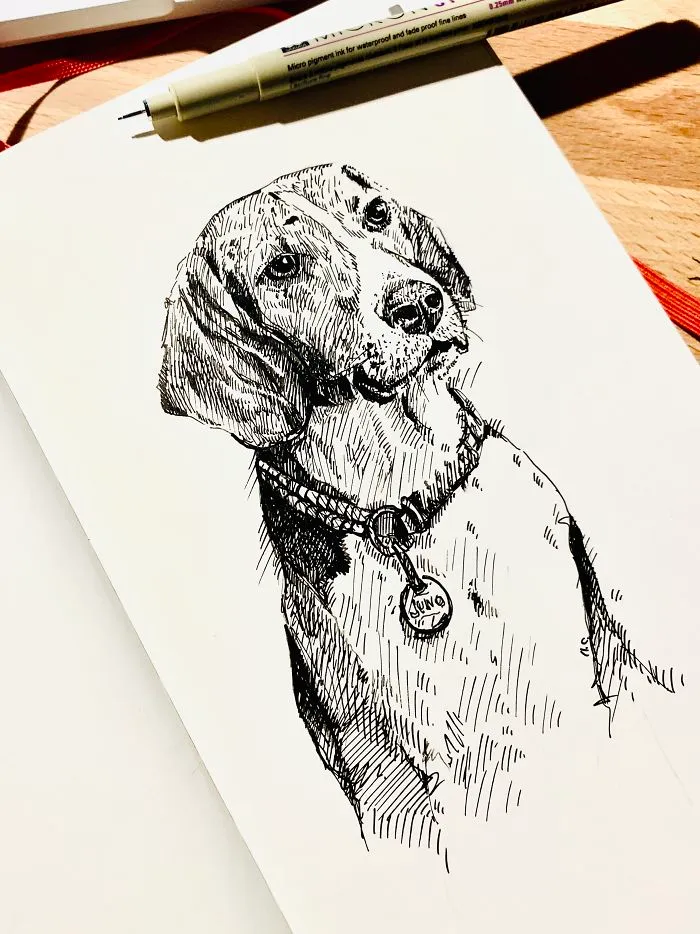 Dog Alphabet Number Two, That I Made From The First Letters Of Their Breeds