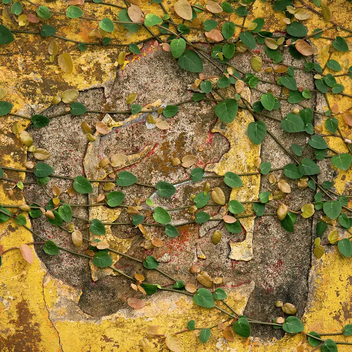 I Took 1,000 Photos Of Hong Kong’s Old Shop Signs And I Have Been Learning Chinese To Create This Visual Poetry