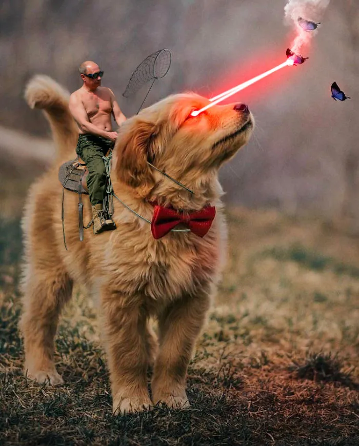Picture Of A Beautiful Puppy With A Butterfly Inspired A Photoshop Battle And Here Are 11 Of The Best Examples