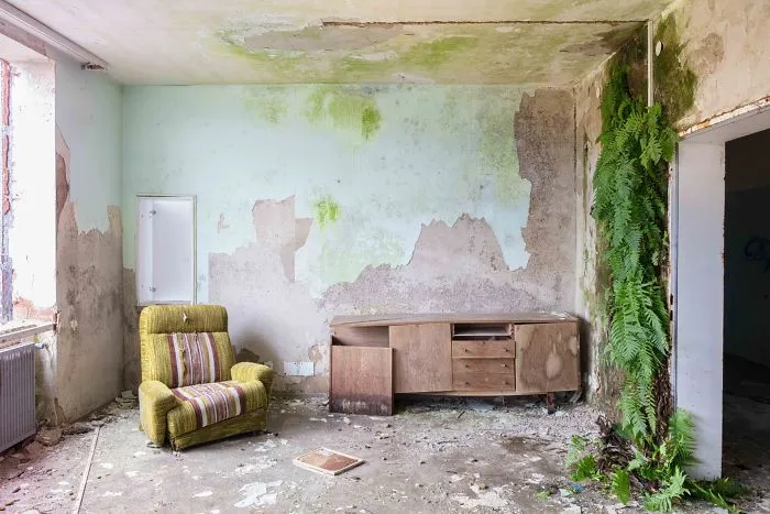I Found Places Where Nature Takes Over Places Abandoned By Humans