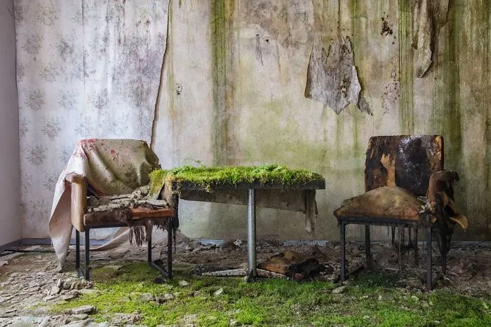 I Found Places Where Nature Takes Over Places Abandoned By Humans