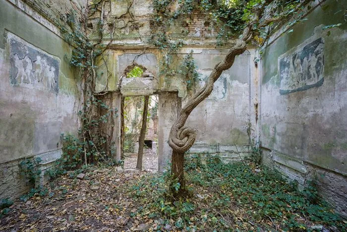 I Found Places Where Nature Takes Over Places Abandoned By Humans