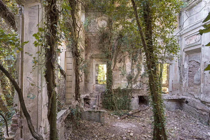I Found Places Where Nature Takes Over Places Abandoned By Humans