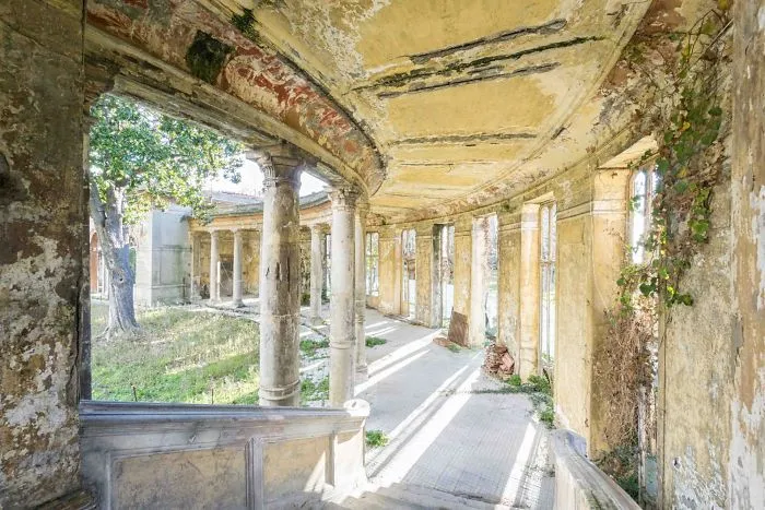 I Found Places Where Nature Takes Over Places Abandoned By Humans