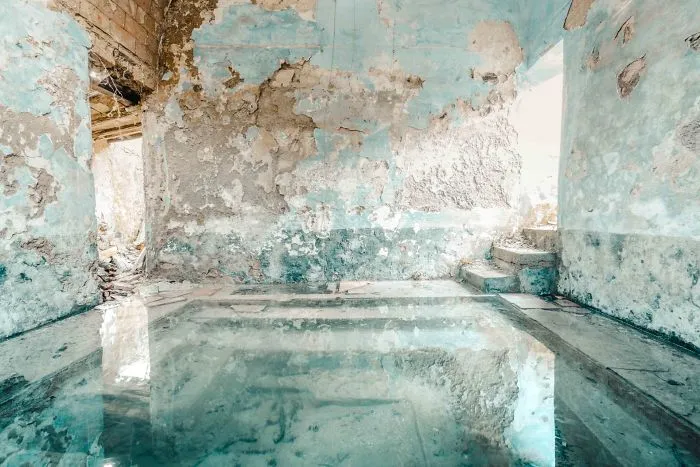 I Found Places Where Nature Takes Over Places Abandoned By Humans