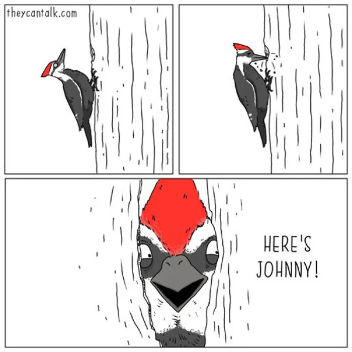 I Show What Birds Would Say If They Could Talk (26 Pics)