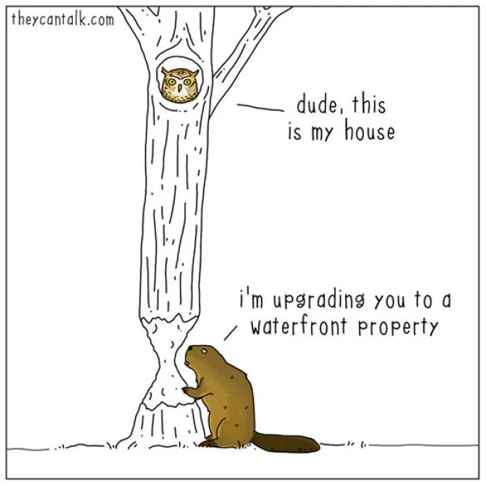I Show What Birds Would Say If They Could Talk (26 Pics)