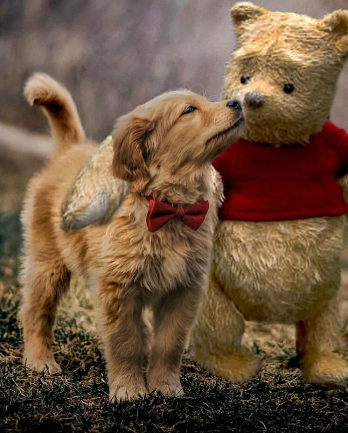 Picture Of A Beautiful Puppy With A Butterfly Inspired A Photoshop Battle And Here Are 11 Of The Best Examples