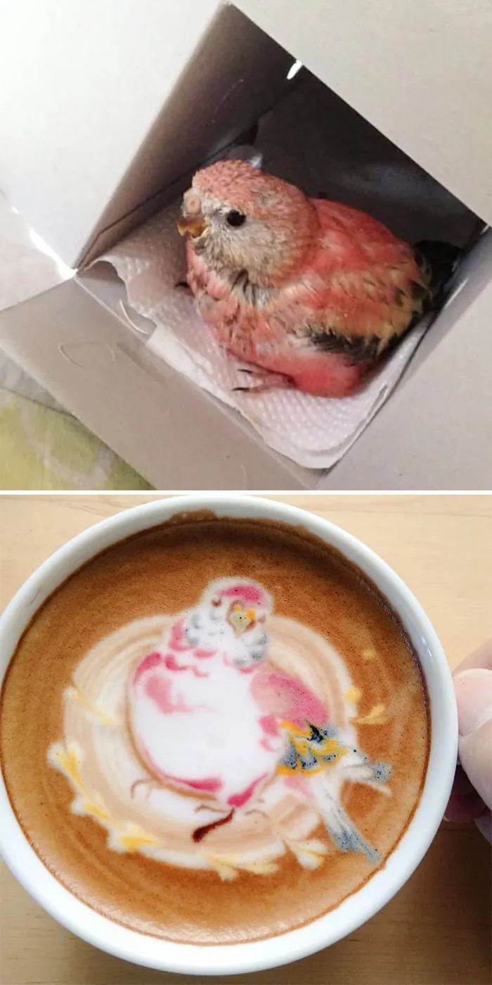 30 Pics Of Amazing Bird Latte Art By Japanese Artist