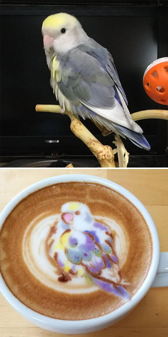 30 Pics Of Amazing Bird Latte Art By Japanese Artist