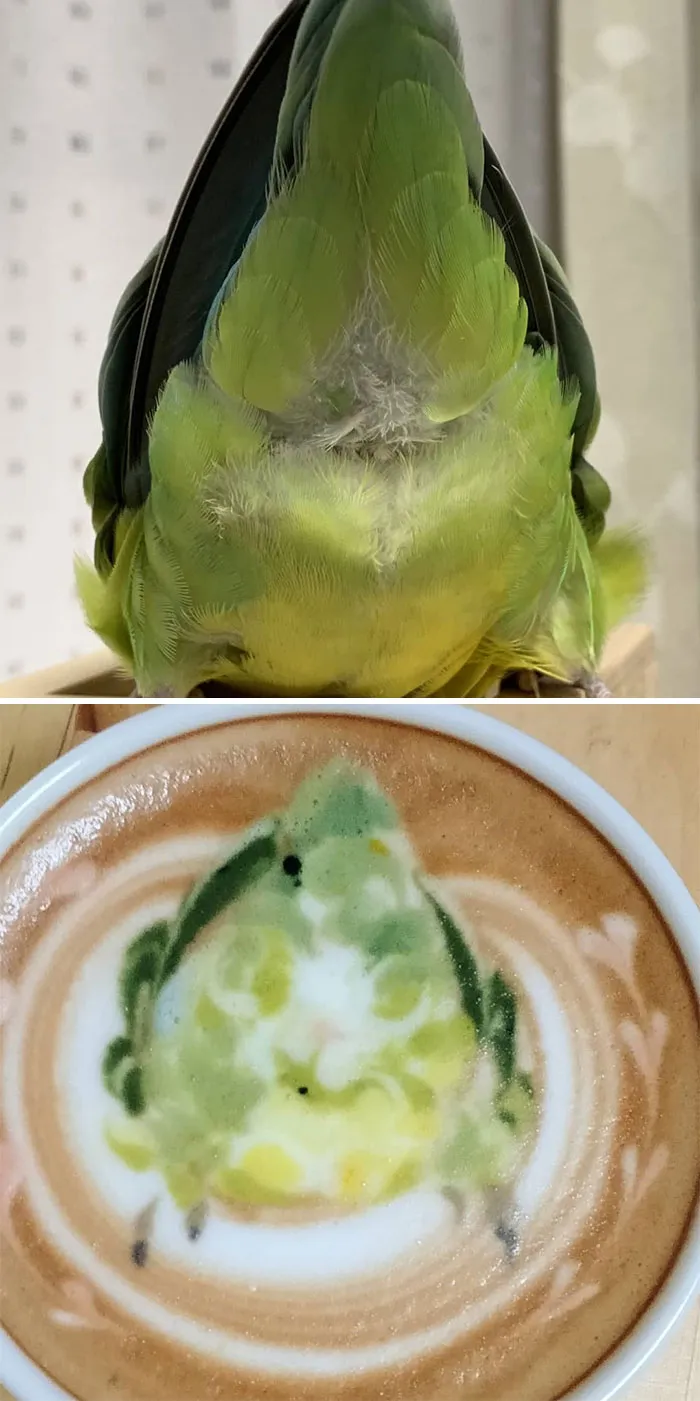 30 Pics Of Amazing Bird Latte Art By Japanese Artist