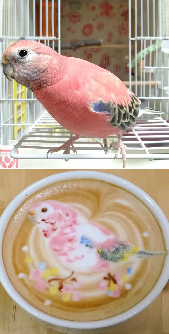 30 Pics Of Amazing Bird Latte Art By Japanese Artist