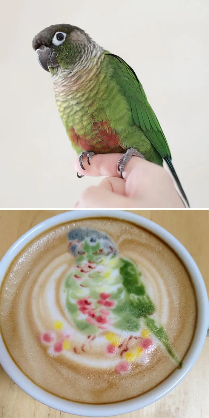 30 Pics Of Amazing Bird Latte Art By Japanese Artist