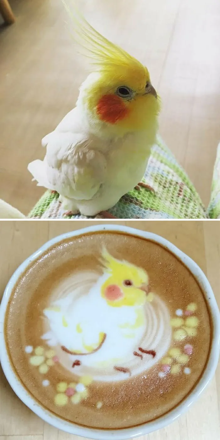 30 Pics Of Amazing Bird Latte Art By Japanese Artist