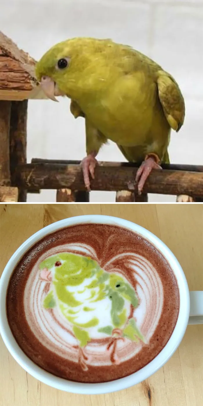 30 Pics Of Amazing Bird Latte Art By Japanese Artist