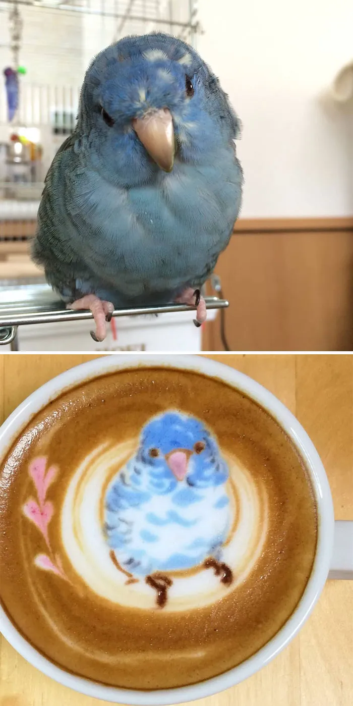 30 Pics Of Amazing Bird Latte Art By Japanese Artist