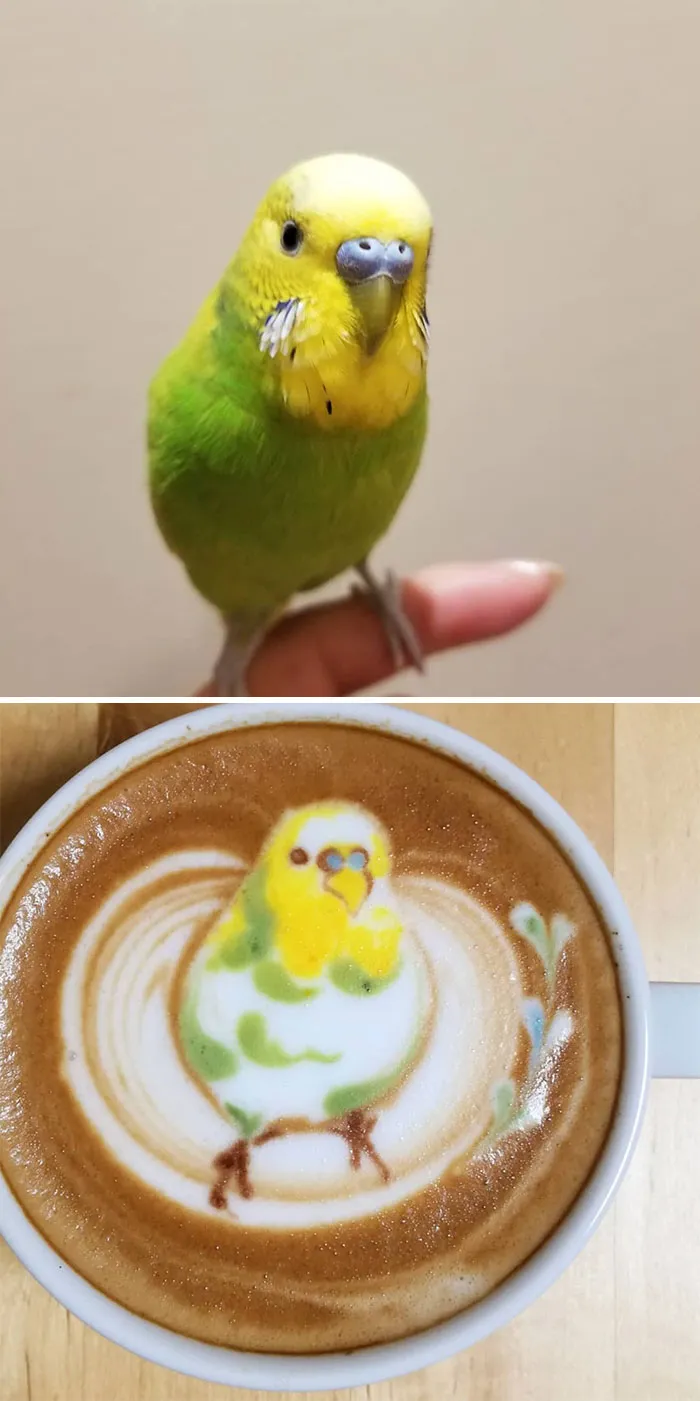 30 Pics Of Amazing Bird Latte Art By Japanese Artist